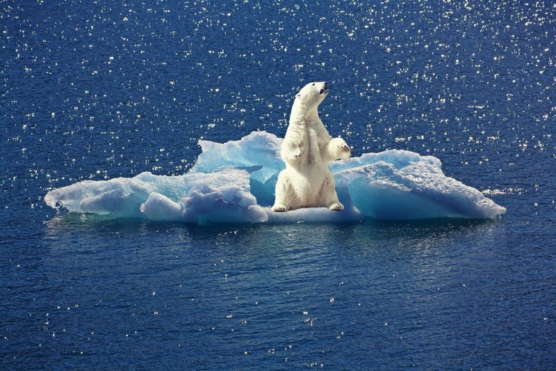 expertos del CSIC en cambio climático participan en la COP 25