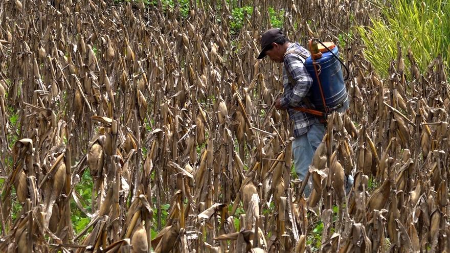 Bukele incumple su promesa de inversiones millonarias en la sanidad pública de El Salvador