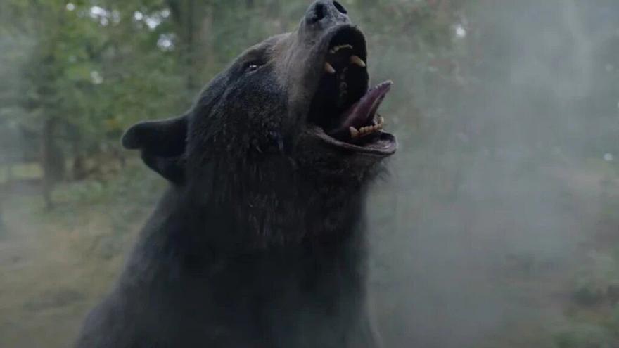 'Oso vicioso', la sinopsis más loca se queda en una decepcionante comedia 'gore'