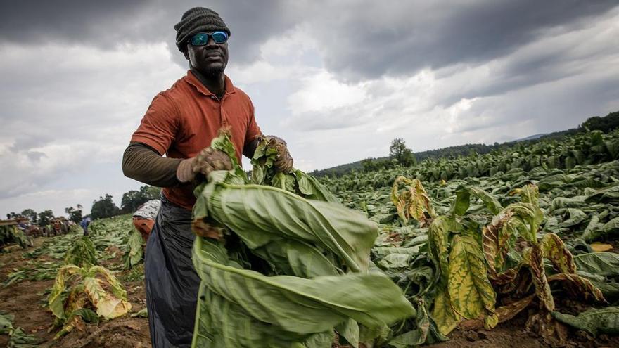 Estados Unidos: la primera economía mundial, a la cola de los países ricos en derechos laborales