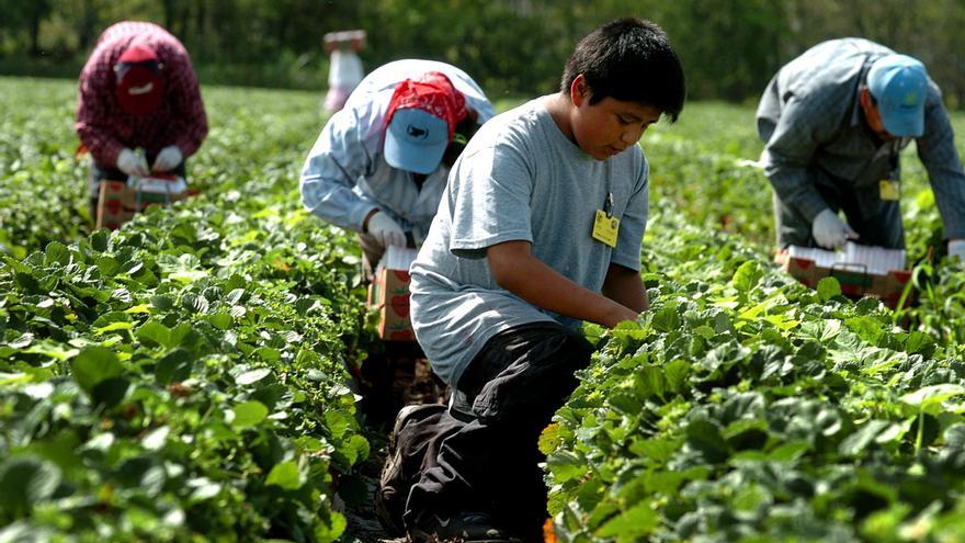 Salir del cole y empuñar la motosierra: la ofensiva de la derecha contra las leyes de trabajo infantil en EEUU