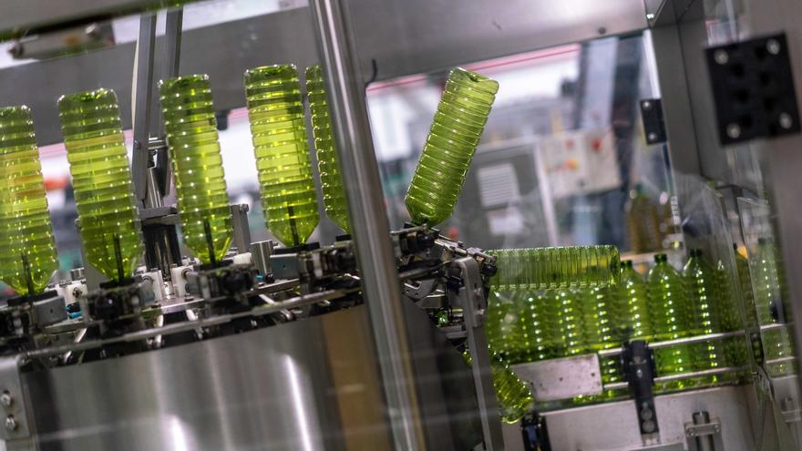 CVC, Beka Finance o Fiera Capital: los grandes fondos de inversión se hacen fuertes en el aceite de oliva