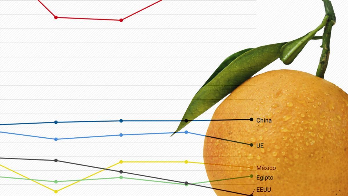 Los agricultores de naranjas buscan ganar a la sequía: “Hemos sembrado variedades que pueden resistir el cambio climático”