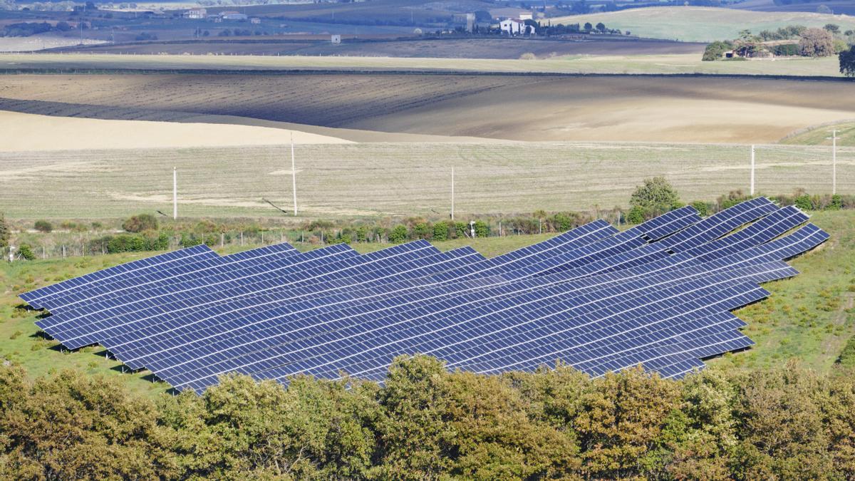 Italia prohíbe por decreto la fotovoltaica en terrenos agrícolas