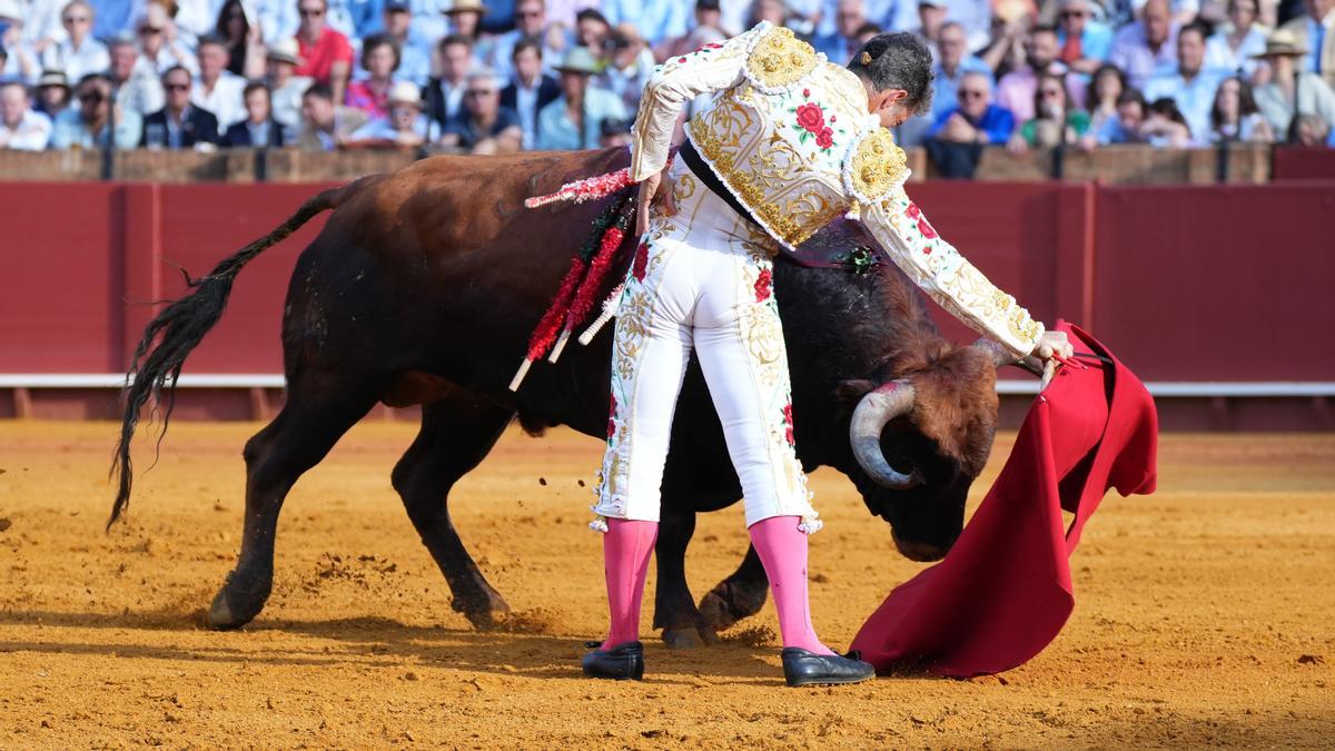 Colectivos protaurinos y varias autonomías se revuelven contra Cultura y crearán premios de tauromaquia