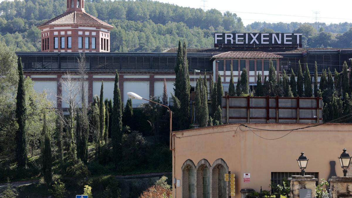 Grupo Freixenet y sindicatos acuerdan un ERTE por la sequía entre mayo y diciembre