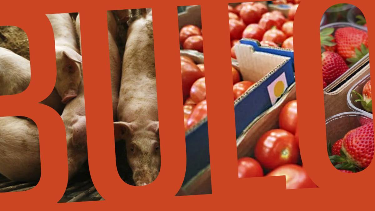 La industria alimentaria se queja del daño de los bulos y las falsas alertas: “Pueden suponer una caída de ventas del 15%