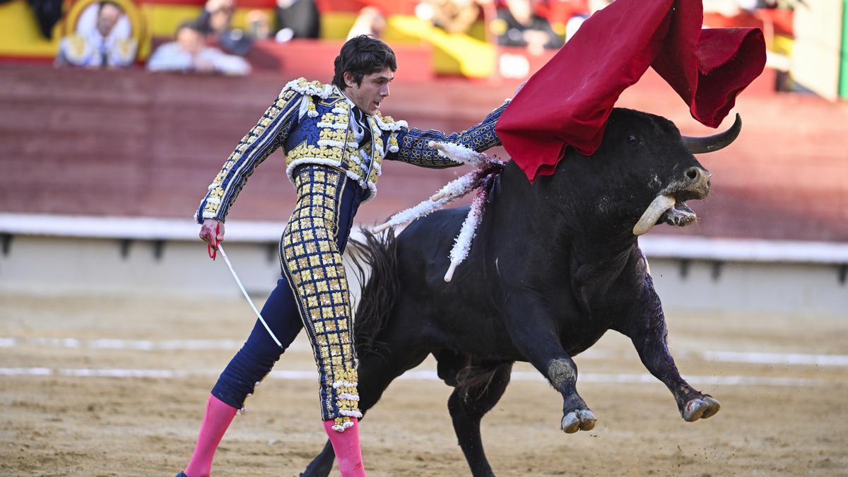 El Congreso tendrá que votar si la tauromaquia sigue considerándose patrimonio cultural