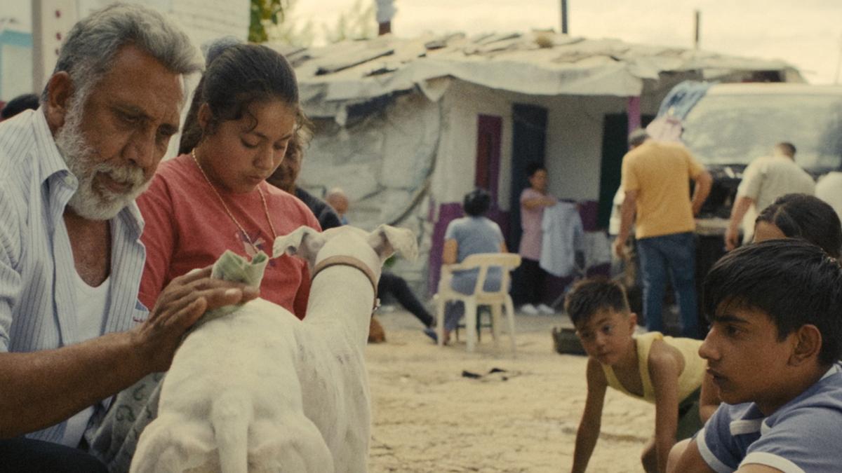 Ciudad Sin Sueño, película sobra la Cañada Real que se verá en Cannes